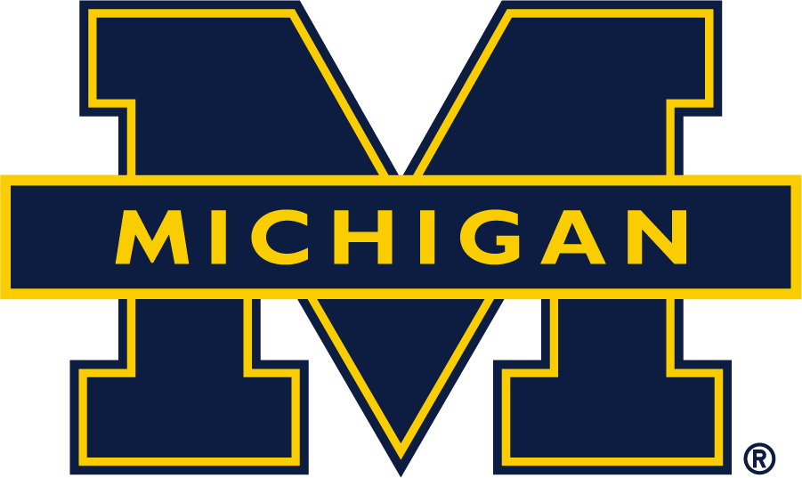 Michigan Wolverines 1994-2016 Alternate Logo iron on transfers for T-shirts